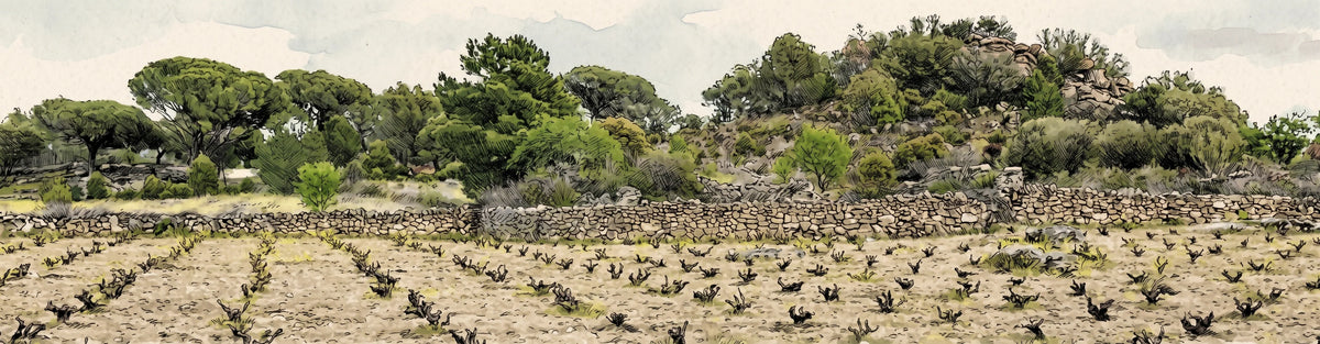 viñas de sierra gredos de vinos madrid