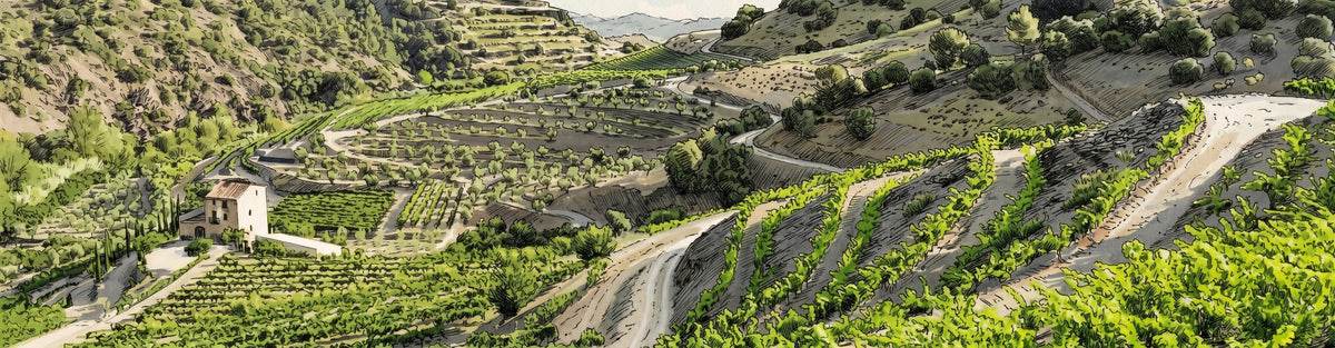 viñas de licorella del priorat cataluña españa