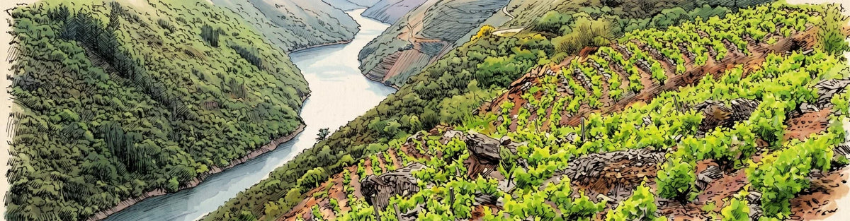 ribeira sacra viticultura heroica