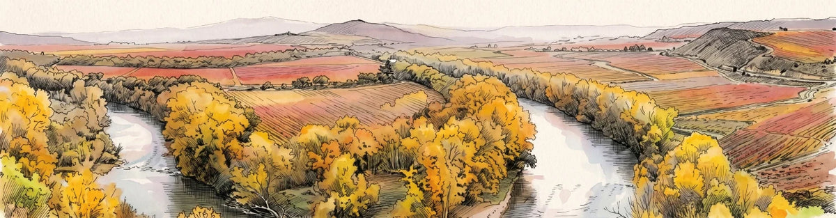 vinedos-doca-rioja-alta-rioja