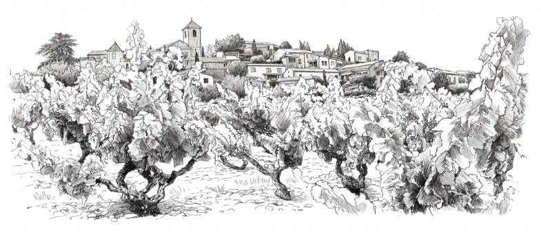 Ilustración de una bodega tradicional y viñedos, origen de nuestra selección de vinos finos y de autor