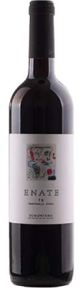 enate TS vino tinto barrica somontano aragon españa