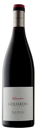 Goliardo Loureiro 2019