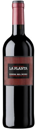la planta vino tinto barrica bodegas arzuaga ribera del duero castilla leon españa