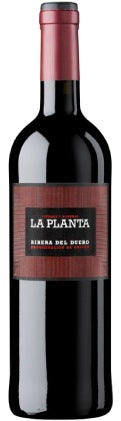 la planta vino tinto barrica bodegas arzuaga ribera del duero castilla leon españa