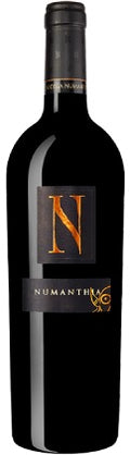 numanthia vino tinto barrica bodegas termes toro castilla leon españa