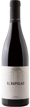 españa castilla leon bierzo bodega vinos valtuille vino tinto pago de valdoneje el rapolao