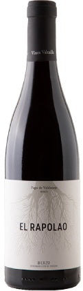 españa castilla leon bierzo bodega vinos valtuille vino tinto pago de valdoneje el rapolao