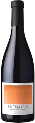 españa castilla leon bierzo bodega vinos valtuille vino tinto pago de valdoneje la telleria