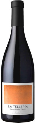 españa castilla leon bierzo bodega vinos valtuille vino tinto pago de valdoneje la telleria