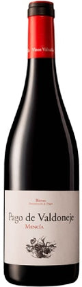 pago de valdoneje mencia vino tinto vinos valtuille bierzo castilla leon españa