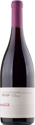 españa galicia ribeira sacra dominio do bibei vino tinto refugallo
